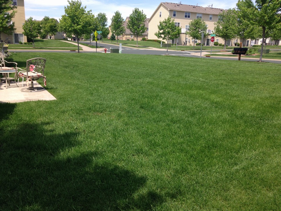 large yard overlooking the park.