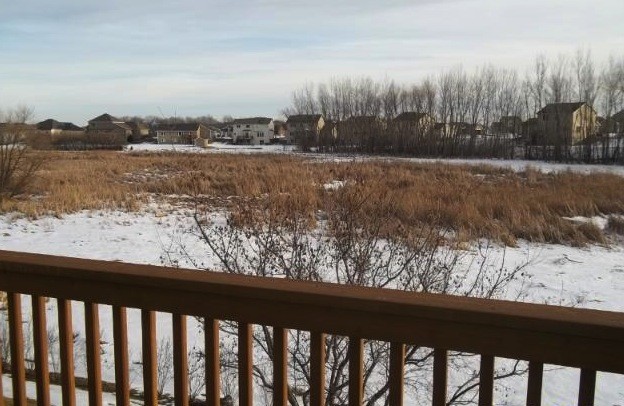 peaceful outdoor setting